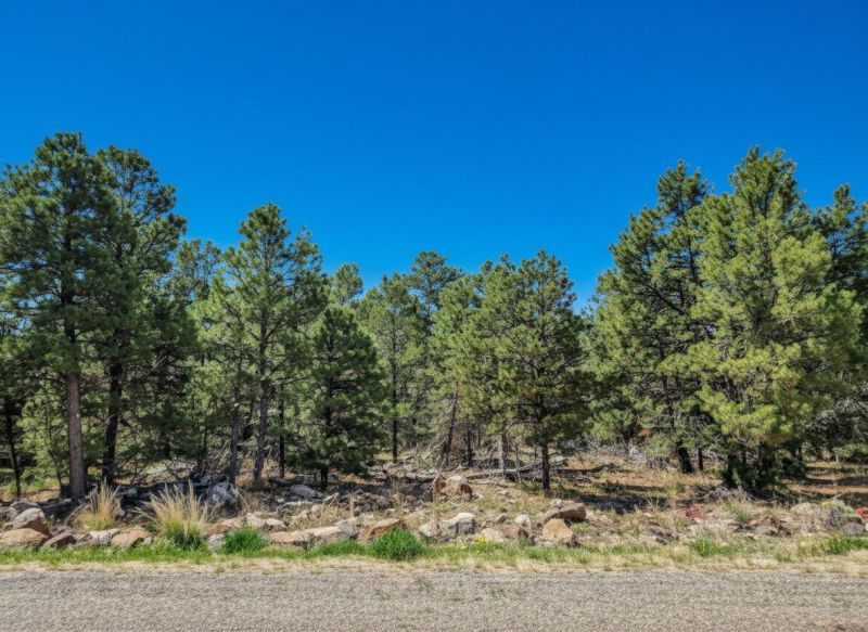 Best Foundation Repair pros in Austin, MN